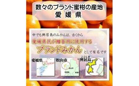 【先行予約】【2024年11月下旬頃発送】興居島みかん 約6kg（L～Sサイズ） みかん 柑橘 興居島 ごごしま ブランド【SSK001_x】