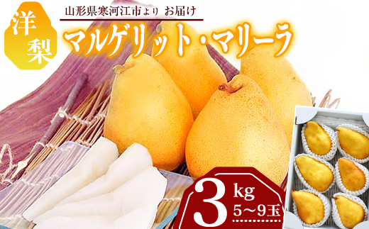 令和8年産 洋梨「追熟 マルゲリット・マリーラ」 秀品 3kg （ 5 - 9玉 ） 山形県産【2026年9月下旬頃から10月上旬頃発送予定】　012-B-MM023