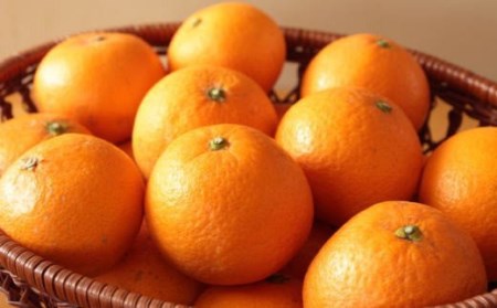 【産直】有田産清見オレンジ約5kg（サイズおまかせ・秀品）※2027年3月上旬～2027年3月下旬頃発送予定【tec866B】