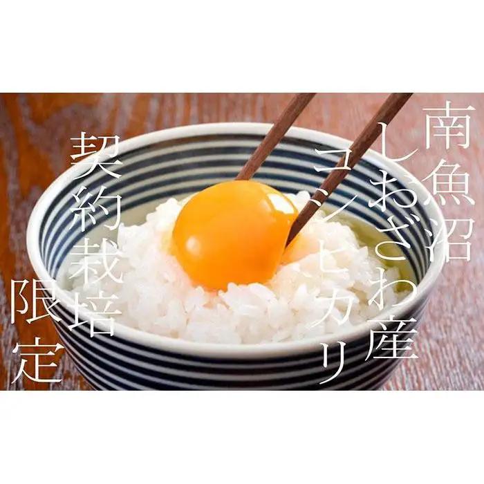 【令和7年産】契約栽培限定 南魚沼しおざわ産コシヒカリ15Kg【銘柄米 ブランド米 精米 こしひかり コシヒカリ 魚沼産 新潟米 産地直送 お米 米 こめ コメ ご飯 御飯 ごはん】