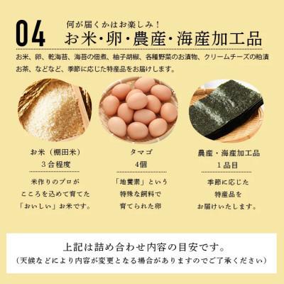 ふるさと納税 鹿島市 【毎月定期便】肥前の国の農産物大満足セット(野菜・卵・米・果物等)14品目程度詰め合わせ鹿島市全6回 |  | 03