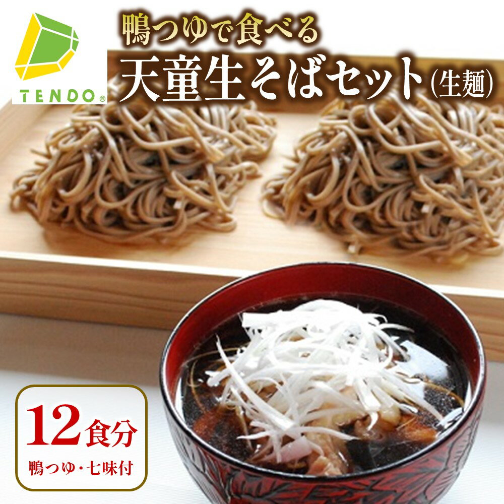 【ふるさと納税】 鴨つゆで食べる 天童 生そば セット ( 生麺 ) 12食 12人前 つゆ付き ご家庭用 のし 贈答 ギフト プレゼント お取り寄せ ご当地グルメ 冷蔵 送料無料 野川ファーム 【 山形県 天童市 】
