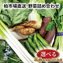 【ふるさと納税】 定期便 新鮮 野菜 詰め合わせ セット 12か月 単品 選べる 旬 野菜セット 野菜詰め合わせ 国産 千葉県産 柏市産 おいしい おまかせ 一人暮らし 父の日 母の日 プレゼント 贈り物 お取り寄せ 取り寄せ おすすめ おススメ 大量 産地直送