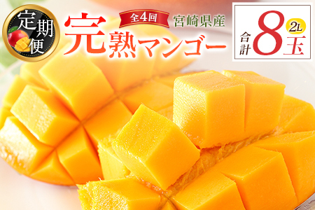 【定期便 完熟マンゴー】2027年出荷 2L×2玉 全4回 果物 フルーツ F143-27
