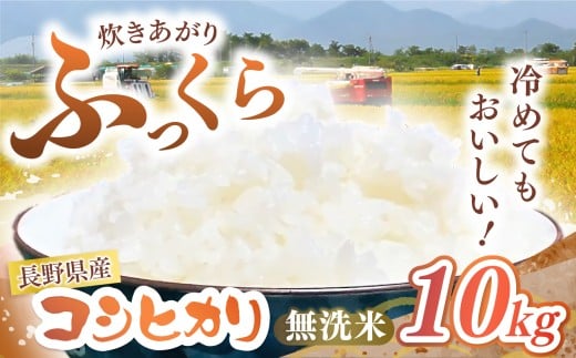 【令和7年度産】長野県産 コシヒカリ 無洗米 10kg | 米 こめ コメ お米 白米 はくまい 精米 無洗米 コシヒカリ 長野県 松川村 信州