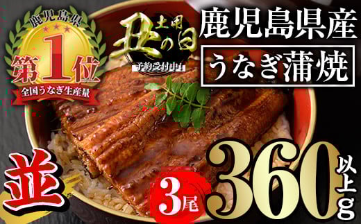 ＜丑の日先行予約受付中！＞無投薬！鹿児島県産うなぎ蒲焼セット＜並＞(計360g以上・ 約120g×3尾) タレ・山椒付き 鰻 ウナギ 国産【西日本養鰻】A731