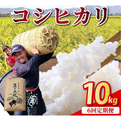 ふるさと納税 亀岡市 【毎月定期便】農家直送 京都丹波産 コシヒカリ 精米 10kg(10kg×1袋)全6回