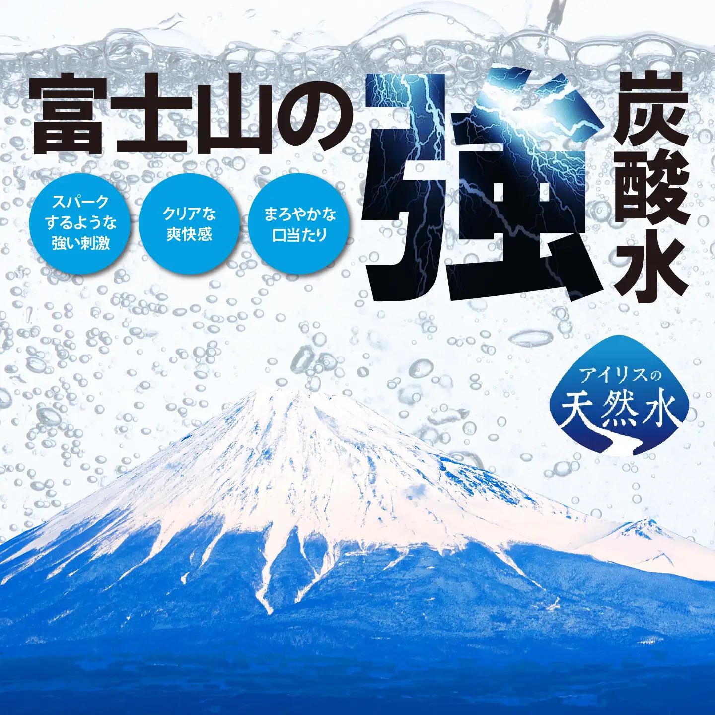 強炭酸水 ラベルレス レモン 6ヶ月定期便 500ml×1箱 24本入 炭酸
