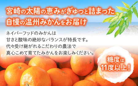 《2025年発送先行予約》【期間・数量限定】温州みかん8kg(傷み補償分200g付き) 果物 ミカン 柑橘