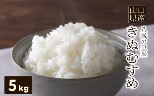 【1回お届け】きぬむすめ 精米 5kg