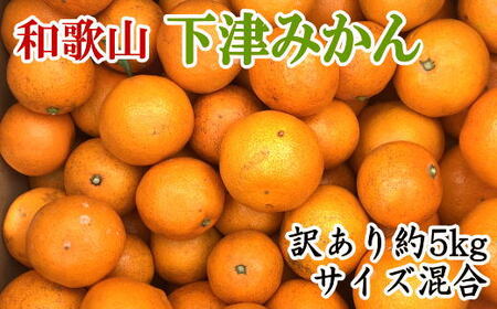 【訳あり】和歌山下津みかん約5kgご家庭用向け(サイズ混合)　※2024年11月中旬～2025年1月中旬頃順次発送予定（お届け日指定不可）【tec949】