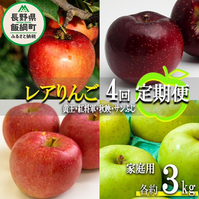 【ふるさと納税】 珍しい レア 人気 旬の りんご 〔 定期便 〕 家庭用 3kg × 4回 永野農園 沖縄県への配送不可 令和7年度収穫分 長野県 飯綱町 〔 信州 果物 フルーツ リンゴ 林檎 長野 予約 農家直送 〕発送時期：2025年8月中旬〜2025年12月中旬