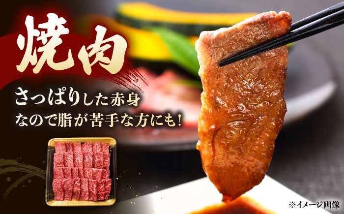和牛 モモ 焼肉 牛肉