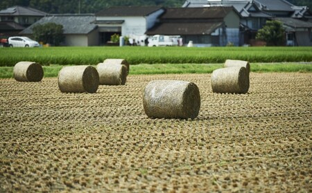 佐賀牛 すきやき 400g ※配送不可：北海道、沖縄、離島