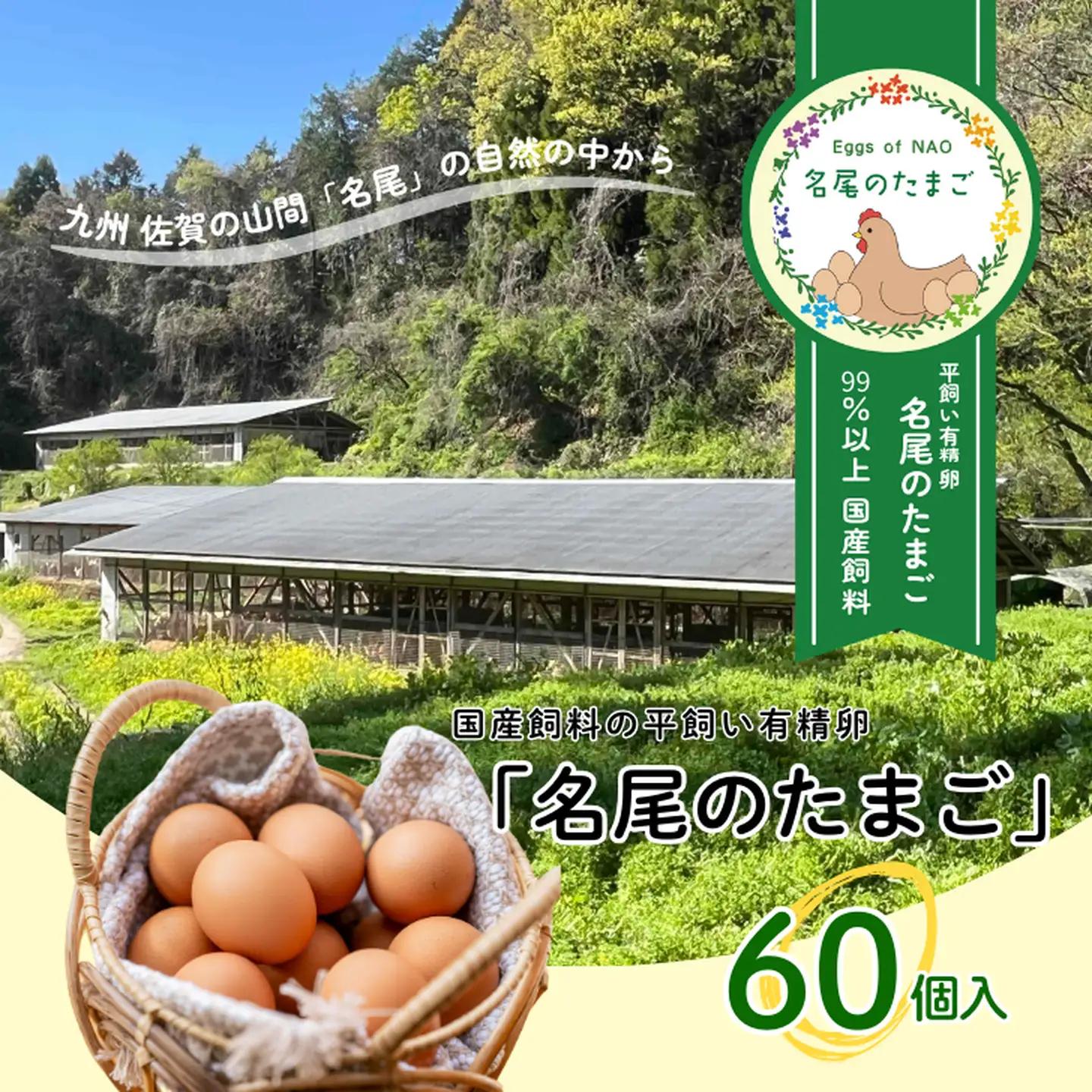 国産飼料の平飼い有精卵「名尾のたまご」60個入 たまご 卵 玉子 タマゴ 生卵 新鮮：B255-018