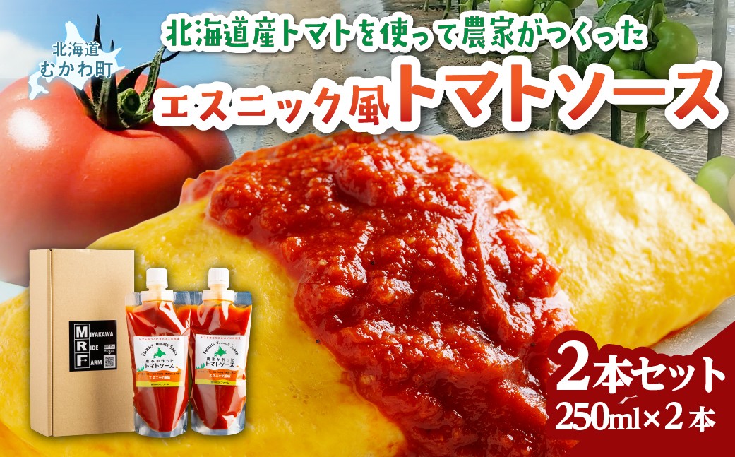 
                  北海道産トマトを使って農家がつくったエスニック風トマトソース2本セット  【 ふるさと納税 人気 おすすめ ランキング チーズ セット チーズセット さけるチーズ カマンベール  北海道 むかわ町 送料無料 】 MKWU001
                