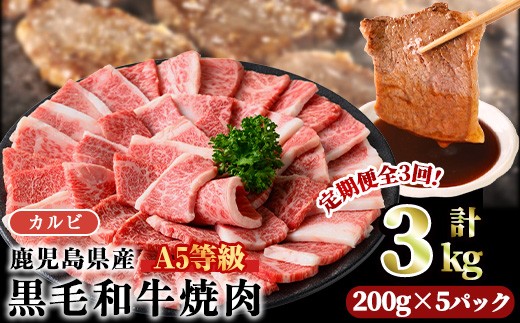 ＜【定期3回】200g×5パック×3回＞A5等級鹿児島県産黒毛和牛カルビ焼肉(計3kg・200g×5パック×3回) カルビ 焼肉 黒毛和牛【LRプラスK】T23-v01