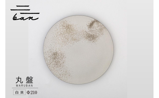 丸盤Φ210白貝