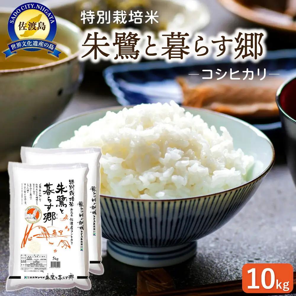 コシヒカリ 10kg 朱鷺と暮らす郷 | 新潟県 佐渡市