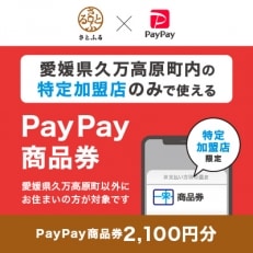 愛媛県久万高原町　PayPay商品券(2,100円分)※地域内の一部の加盟店のみで利用可