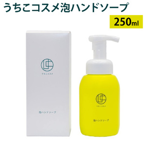 うちこコスメ 泡ハンドソープ 250ml 1本 ハンドソープ ハンドウォッシュ 泡 泡タイプ せっけん 石鹸 アミノ酸系 きめ細かい 保湿 香り 爽やか さわやか もこもこ泡 低刺激 子供 ボトル 日本製 国産 愛媛県 【えひめの町（超）推し！（内子町）】(282)