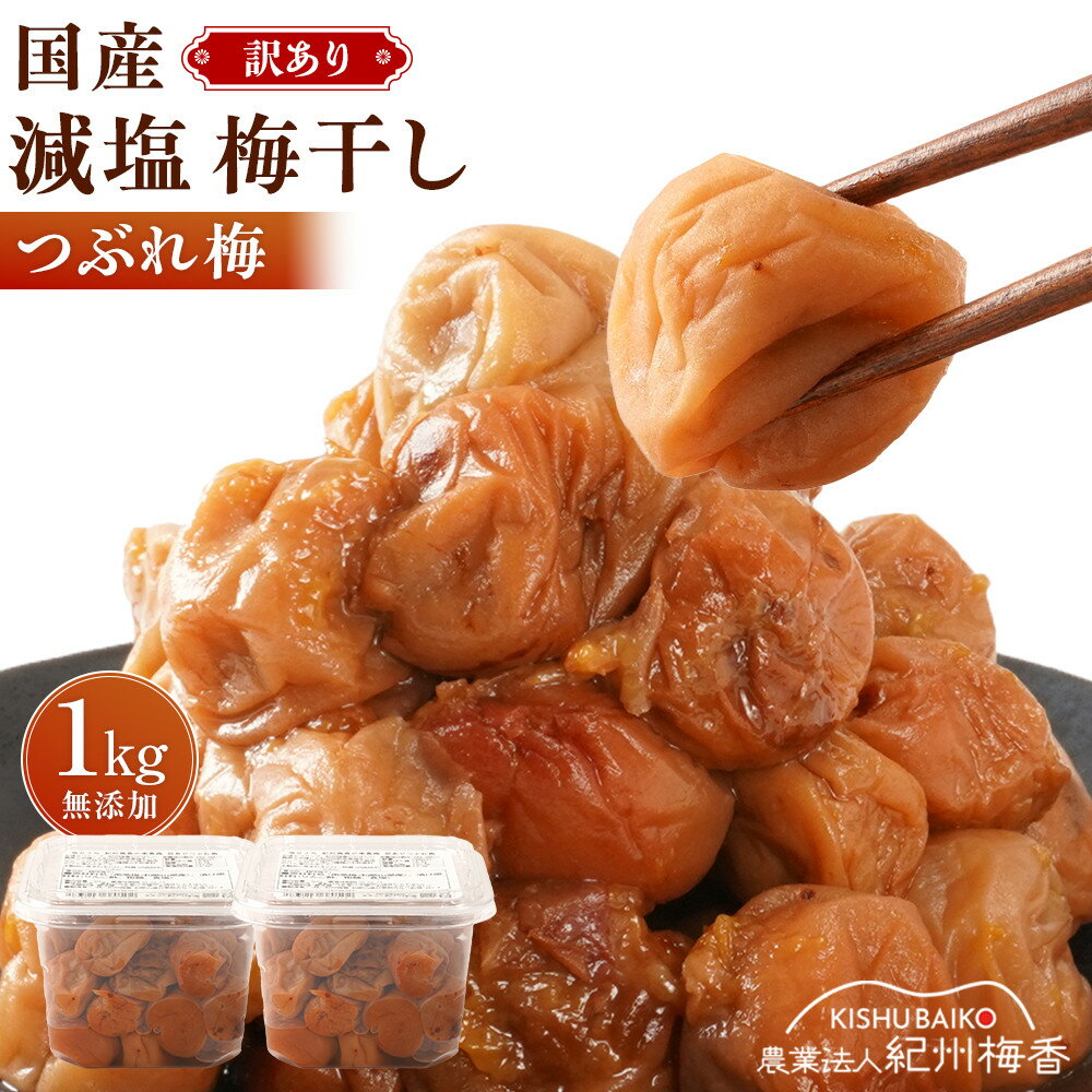 【ふるさと納税】無農薬栽培 無添加 減塩 梅干し 訳アリつぶれ梅 約1kg(500gパック×2個) 塩分3% N3-G［KU2］ | 梅干し 梅干 食品 加工食品 人気 おすすめ 送料無料