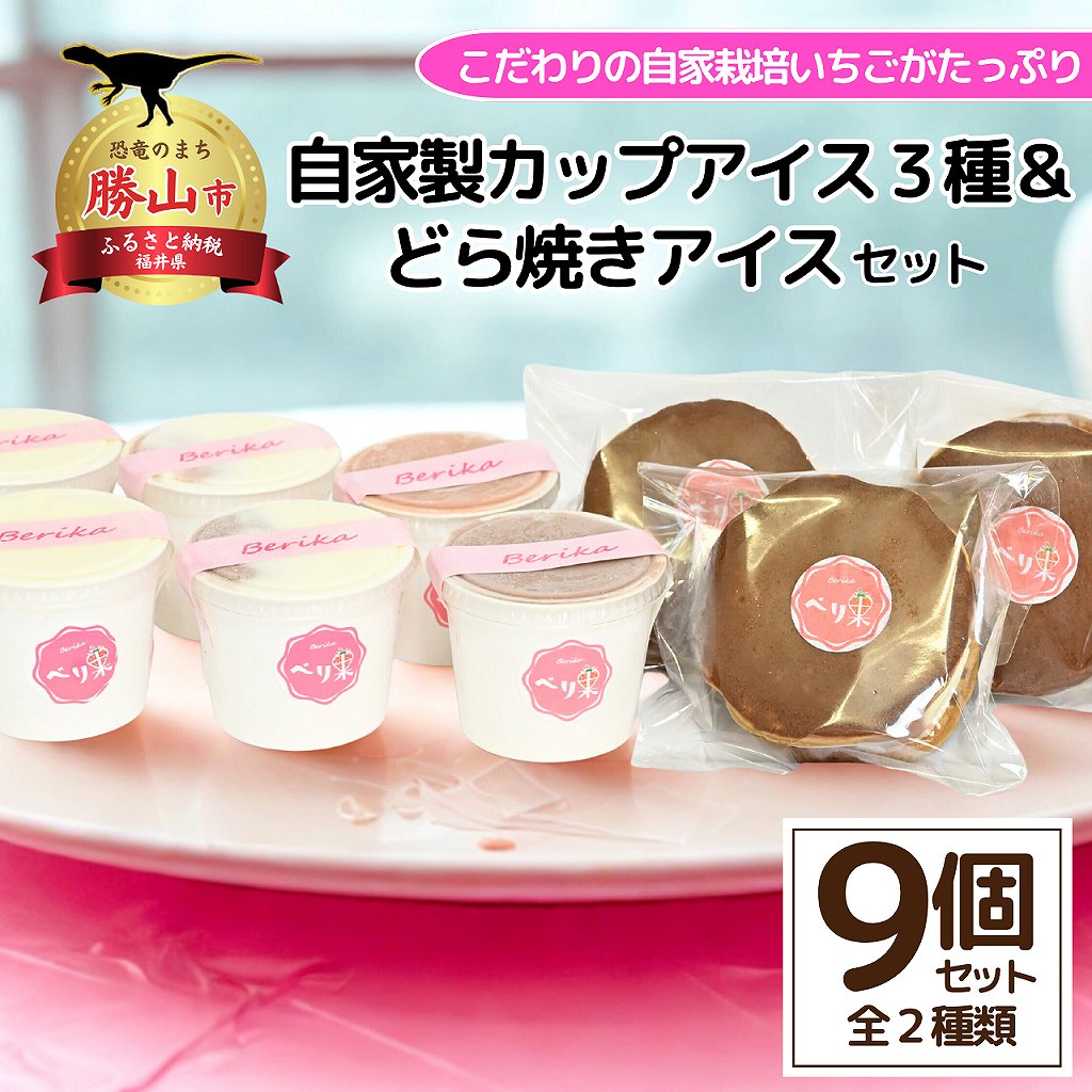 【ふるさと納税】自家製カップアイス3種＋どら焼きアイスセット | お菓子 おやつ デザート スイーツ スウィーツ 洋菓子 自家製 冷凍 個包装 贈答 べり果