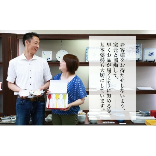 有田焼 スプーン 5本セット SPOOOOON 5本組 深海三龍堂 スプーン 食器 カトラリー おしゃれ キッチン スプーン 可愛い カトラリー スプーン 磁器 カトラリー スプーン 贈り物 スプーン