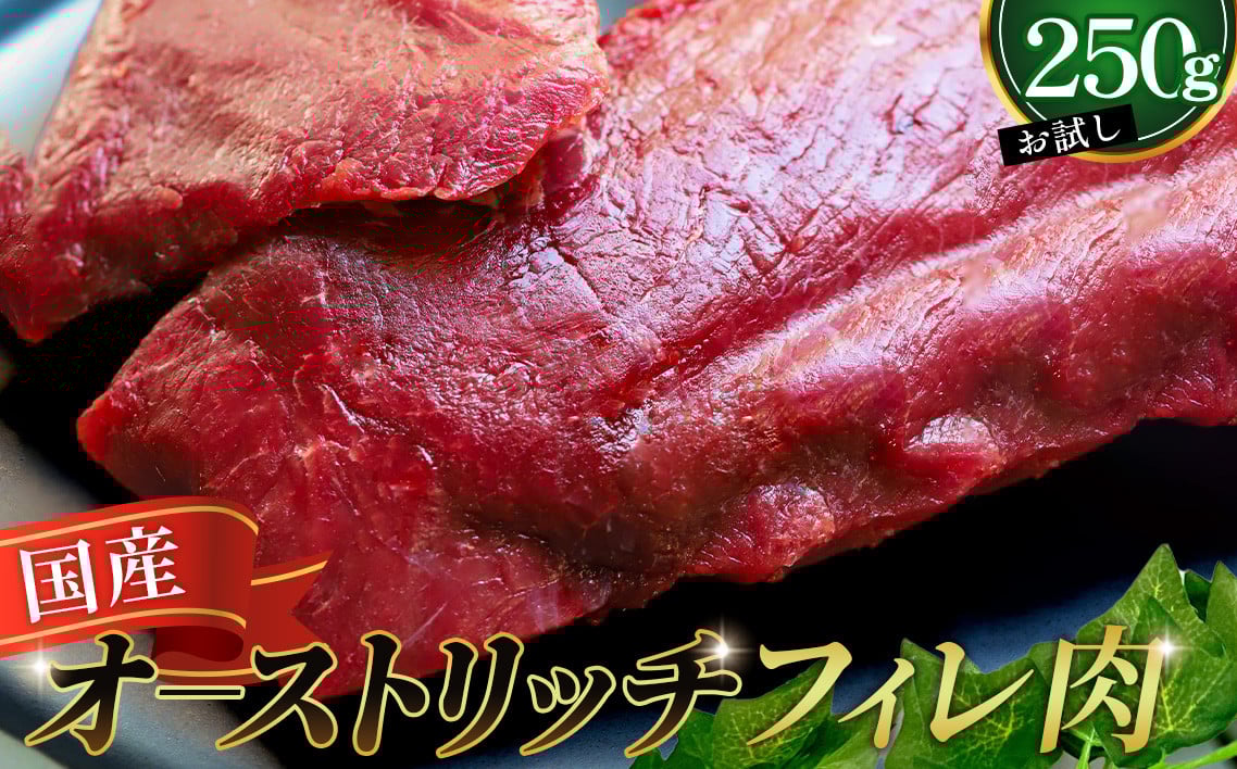 
            国産オーストリッチお試しフィレ肉250g [No.023] ／ オーストリッチ 肉 フィレ お試し 低脂肪 高タンパク クセがない 食べやすい 調理簡単 ステーキ BBQ 
          