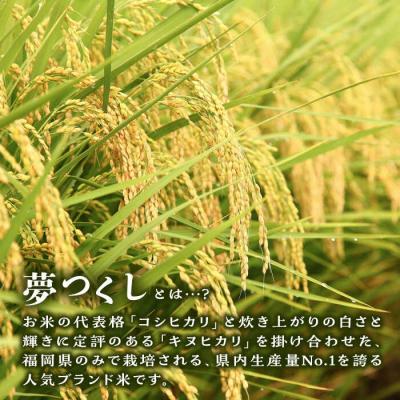 ふるさと納税 糸島市 糸島産 夢つくし 10kg 糸島市/三島商店[AIM002] |  | 01