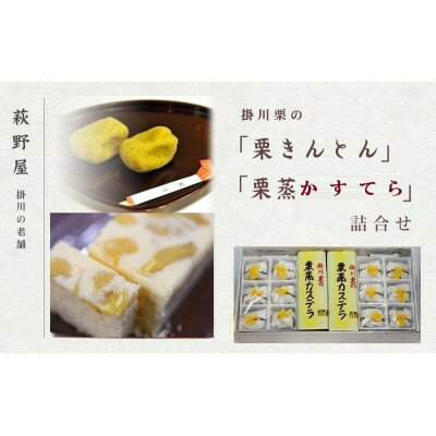 【ふるさと納税】萩野屋 掛川栗の 栗きんとん 6個×2包・ 栗蒸しカステラ × 2本詰合せ【配送不可地域：離島・北海道・沖縄県・四国・九州】【1662801】