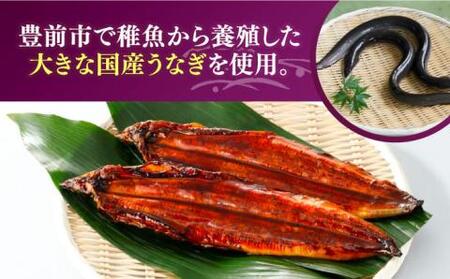 福岡県産 うなぎ 蒲焼 大2尾　合計 320 g（1尾あたり 160g以上）《豊前市》【福岡養鰻】 国産 うなぎ 大[VAD002] うなぎ 鰻 鰻の蒲焼 ギフト鰻 国産鰻 うなぎ 鰻 鰻の蒲焼 ギフ