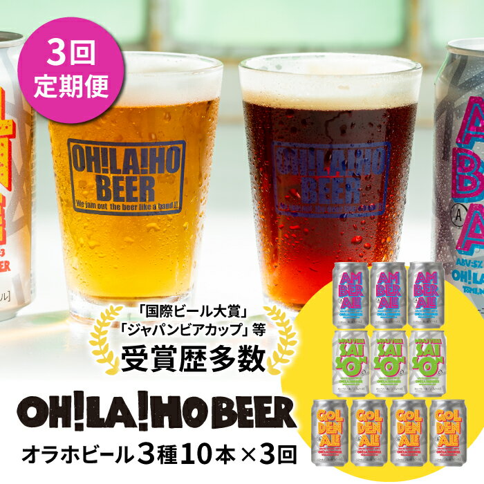 【ふるさと納税】【3回定期便】【クラフトビール】オラホビール 3種10本 飲み比べ ビールセット｜ゴールデンエール、アンバーエール（アンバー）、ヌーベルセゾン（セゾン）｜長野 信州 東御 ※スピード発送