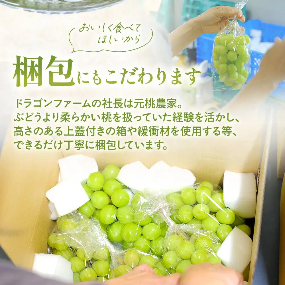 訳あり ご家庭用 シャインマスカット 3房以上 2.3kg 山梨シャインマスカット