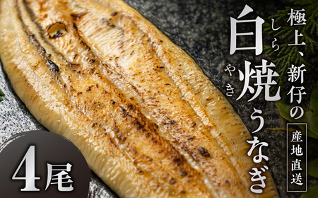 ４尾 希少 豊橋うなぎ 山義養魚 白焼 希少 厳選 国産 新仔うなぎ 若うなぎ 鰻 簡易包装 ウナギ うなぎ 鰻 ギフト 土用丑の日 うなぎの日 ギフト 冷凍 お取り寄せ 送料無料 日本酒と わさび 山椒 塩 大人 贅沢