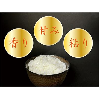 ふるさと納税 南魚沼市 【毎月定期便】南魚沼産 コシヒカリ 白米5kg 全6回 |  | 01