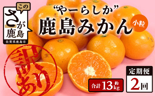 2回定期 訳あり ”やーらしか”鹿島産みかん 約 6.5kg × 2回 配送期日指定不可 みかん ミカン 蜜柑 柑橘 果物 フルーツ 甘い ご家庭用 ふるさと納税 佐賀県 鹿島市 B-714