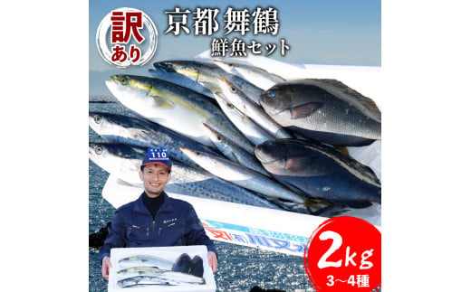 
訳あり 鮮魚 詰め合わせ セット 3～4種 約2kg 2キロ 旬 厳選 朝 獲れ 鮮度 抜群 冷蔵 送料無料 あじ サバ ススキ つばす 鯵 鯖 鰯 サゴシ グレ 鯛 カマス 赤カレイ いわし レンコダイ トビウオ
