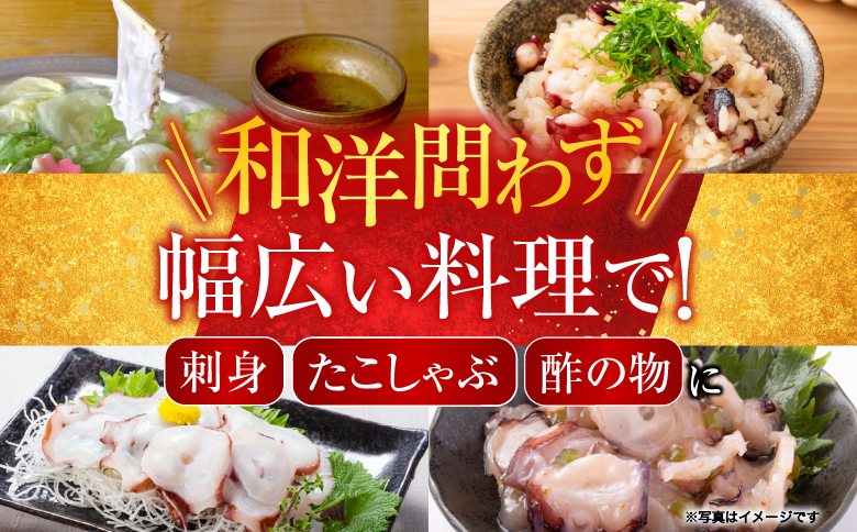 【北海道根室産】お刺身用たこ足2本(計2～2.5kg) C-76027