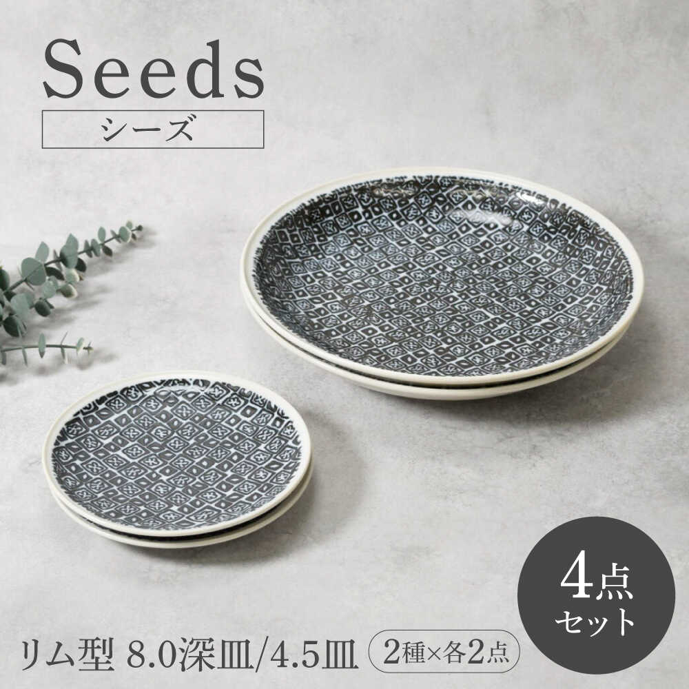 【ふるさと納税】【美濃焼】シーズ seeds リム型 8.0深皿 ＆ 4.5皿 2サイズ×各2点 4点セット【カネ定製陶】 うつわ プレート セット[MEI114]