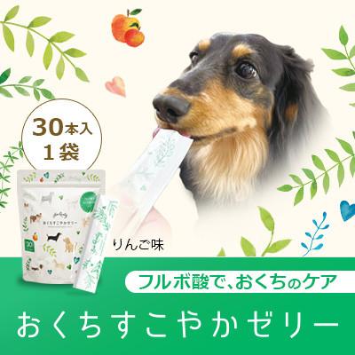ふるさと納税 橋本市 涙やけとるワン　おくちすこやかゼリー　Wセット |  | 02