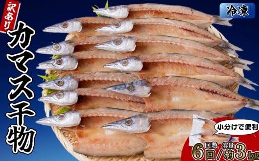 カマスの干物 15袋（約30尾）【6回分】