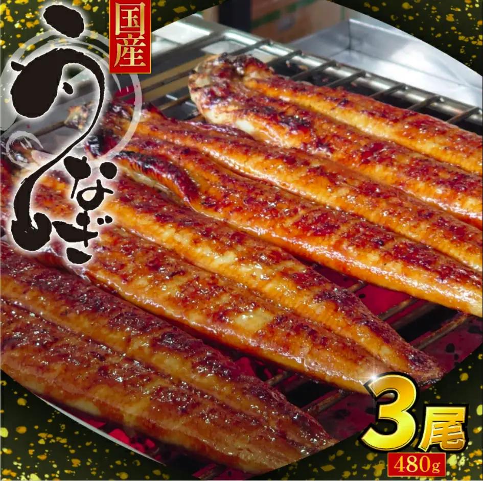 特上うなぎ 蒲焼 国産 3尾 約480g うなぎ