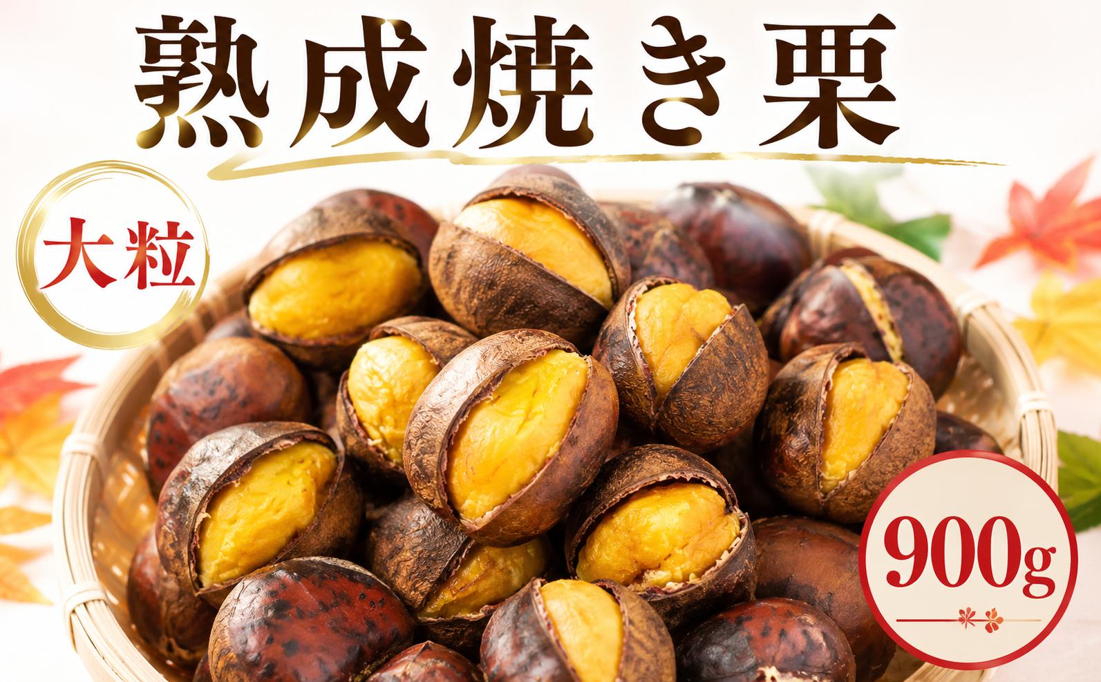 
                  【先行予約】 栗 約900g 300g x 3袋 焼き栗 2L サイズ 産地直送 大粒 つやつや 小分け 便利 秋 旬 味覚 2026年度産  焼栗 焼きぐり やき栗 和栗 わぐり 先行受付 秋の味覚 マロン 生くり 甘栗 焼き栗 ゆでぐり 料理 和菓子 数量限定 令和8年度産 R8年度産 茨城県産 国産 関東 茨城 筑西 
                