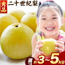 【ふるさと納税】梨 なし【秀品(赤秀)】先行予約 二十世紀梨 選べる 約3kg (6~11玉) 約5kg (10~18玉) L~5Lサイズ《2025年8月下旬-10月上旬頃出荷》鳥取県 八頭町 梨 なし 果物 フルーツ 特産品 秀品 赤秀 贈答用 先行予約 送料無料 果汁 デザート