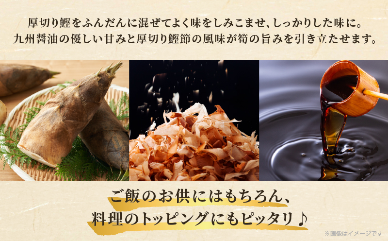 ＼ポスト投函／九州産たけのこ土佐煮100g おかず 筍 野菜 加工品 国産_T037-009