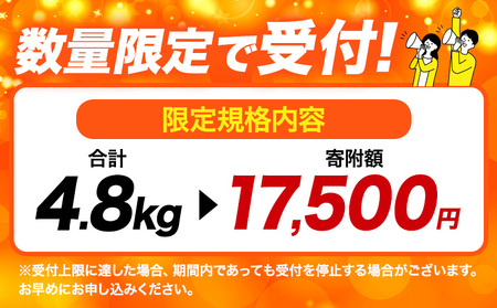 【年末感謝祭】豚肉 ひごのポーク バラエティセット 4.8kg《1月発送予定》 豚肉