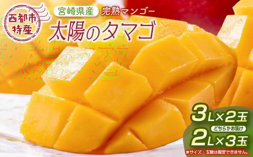 最高級ブランド『太陽のタマゴ』3Lサイズ2個または、2Lサイズ3個【糖度15度以上】宮崎県西都市産完熟マンゴー【先行予約】＜3-48＞宮崎マンゴー