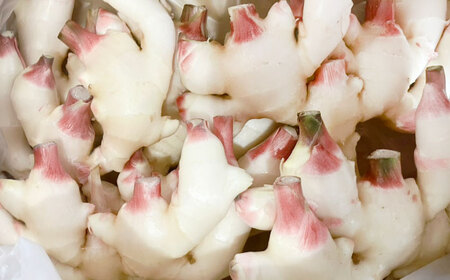 【先行予約】【6月下旬から順次発送】 新生姜 2kg 愛媛県大洲市/株式会社誠実村[AGER003]