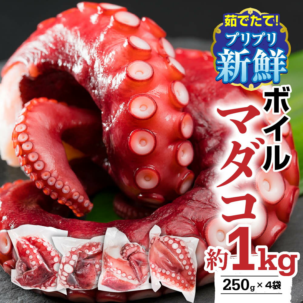 【ふるさと納税】【冷蔵】ボイルマダコ 約1kg〈250 g×4袋〉小分けセット《到着日時指定必須商品》 小分け 旨味凝縮 ふっくら やわらか 新鮮 真だこ たこ タコ 蛸 たこ 刺身 タコから揚げ タコの唐揚げ たこ焼き タコ焼き 酢だこ 肴 簡単 人気｜解凍不要・すぐ使える MT-8
